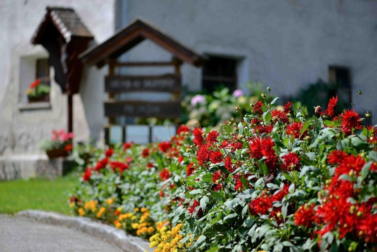 Homestay Muellnerbauer