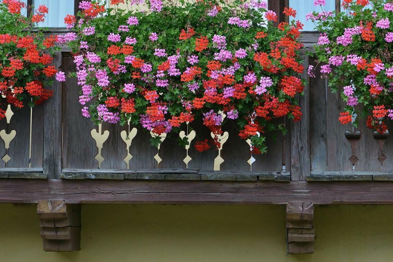 Homestay Muellnerbauer *